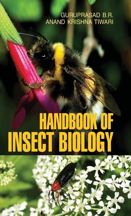 Produktbild: Handbook of Insect Biology