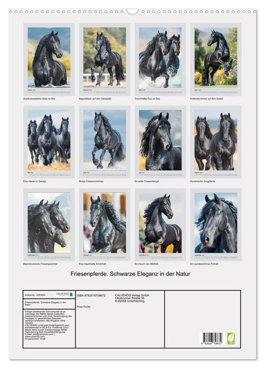 Produktbild: Friesenpferde. Schwarze Eleganz in der Natur (Wandkalender 2027 DIN A2 hoch), CALVENDO Monatskalender