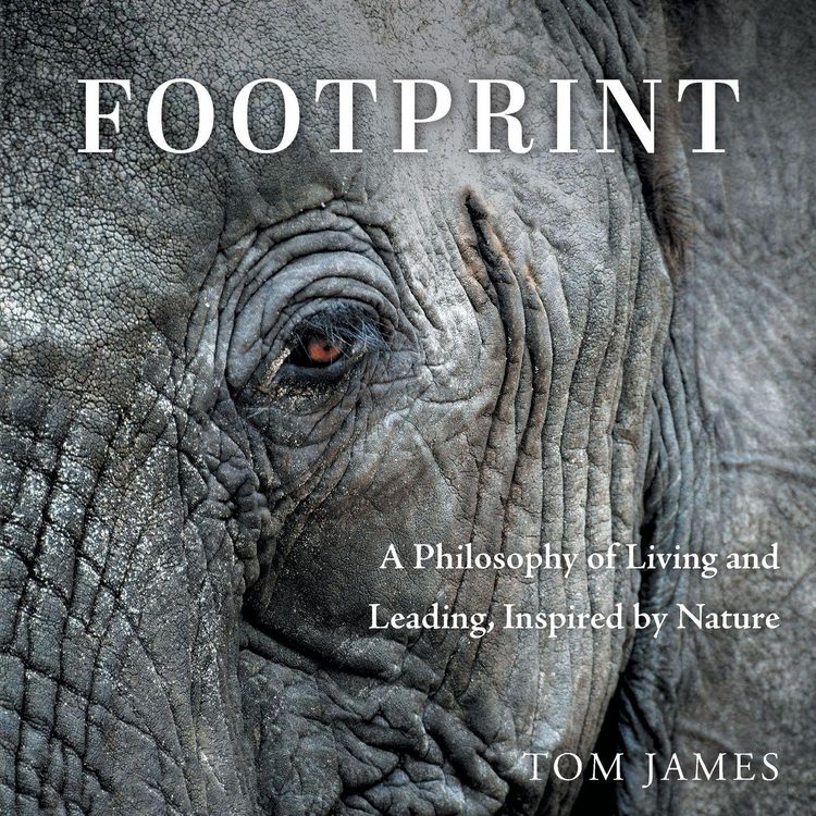 Produktbild: Footprint