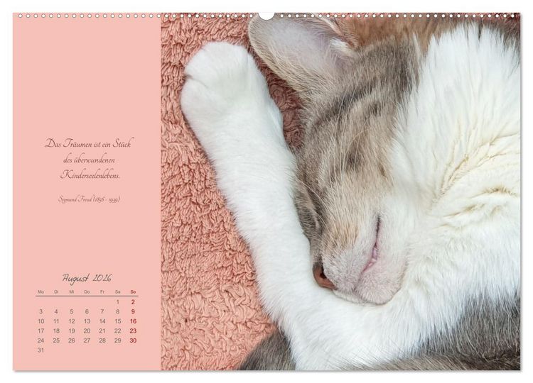 Produktbild: H&auml;ng einfach mal ab (hochwertiger Premium Wandkalender 2026 DIN A2 quer), Kunstdruck in Hochglanz