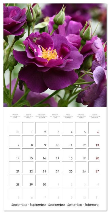 Produktbild: LE PARFUM ENVO&Ucirc;TANT DES ROSES (Calendrier mural carr&eacute; 2026 30x30 cm) Calendrier double avec une page pour vos prises de notes