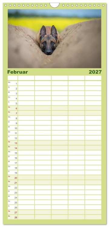 Produktbild: Familienplaner 2027 - Belgischer Sch&auml;ferhund - Der Malinois mit 5 Spalten (Wandkalender, 21 x 45 cm) CALVENDO