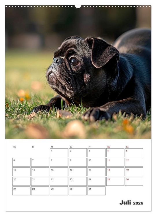 Produktbild: MOPS Pfotengl&uuml;ck in Faltenform (hochwertiger Premium Wandkalender 2026 DIN A2 hoch), Kunstdruck in Hochglanz