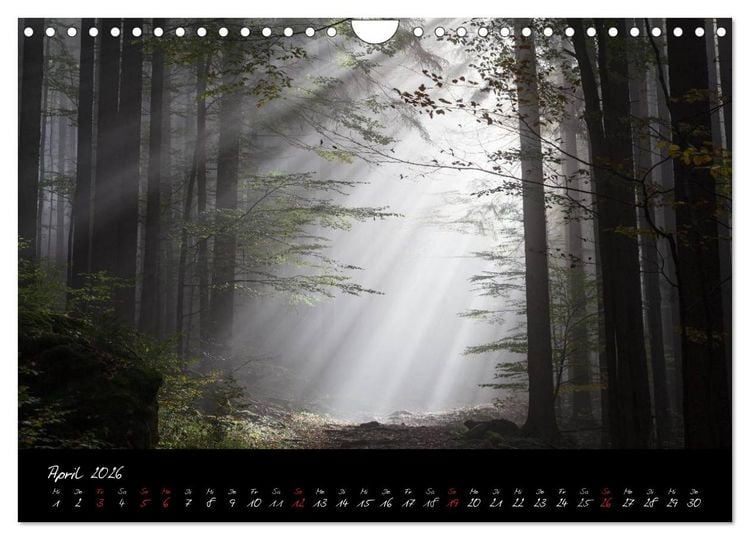 Produktbild: Bayerischer Wald (Wandkalender 2026 DIN A4 quer), CALVENDO Monatskalender
