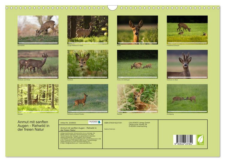 Produktbild: Anmut mit sanften Augen - Rehwild in der freien Natur (Wandkalender 2026 DIN A3 quer), CALVENDO Monatskalender