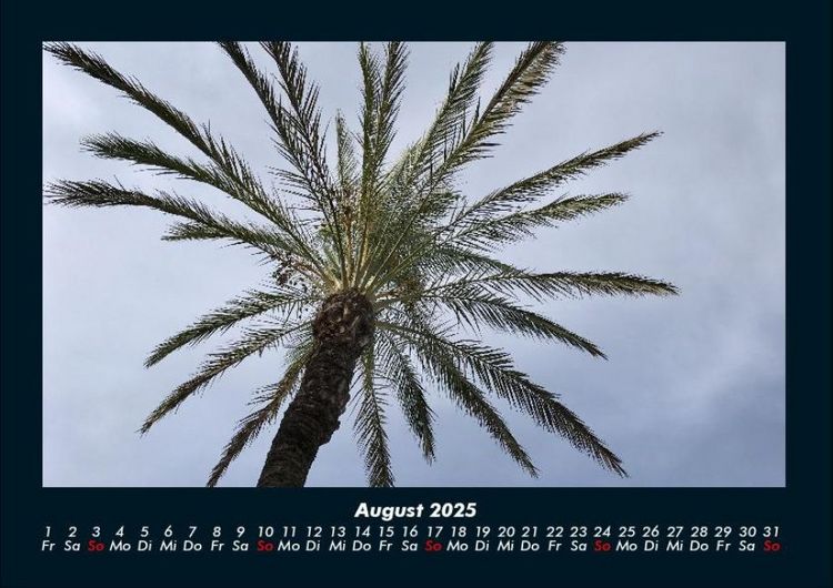 Produktbild: Palmentraum 2025 Fotokalender DIN A4