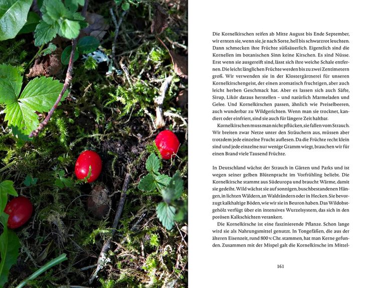 Produktbild: Das Glück wächst im Garten