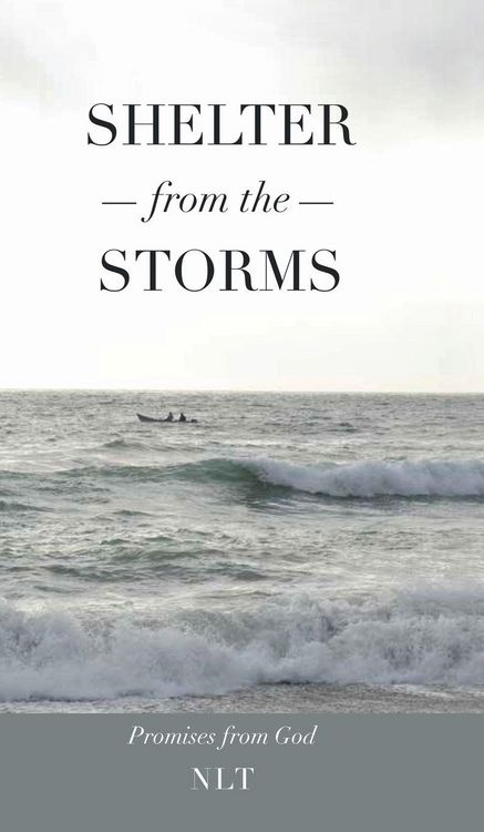 Produktbild: Shelter From the Storms; Promises from God