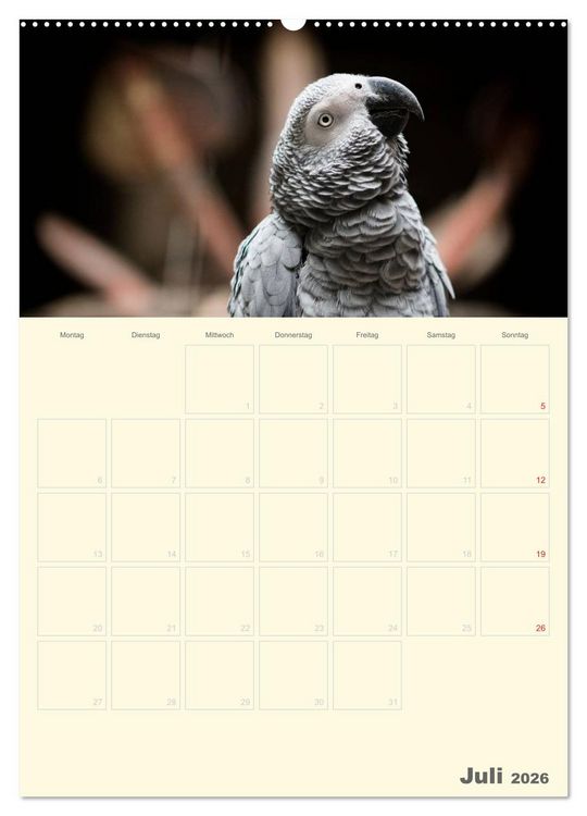 Produktbild: Kunterbunter Papageien-Planer (hochwertiger Premium Wandkalender 2026 DIN A2 hoch), Kunstdruck in Hochglanz