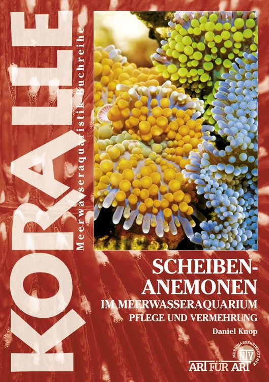 Produktbild: Scheibenanemonen im Meerwasseraquarium