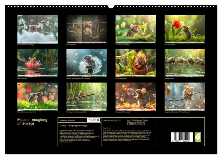 Produktbild: M&auml;use - neugierig unterwegs (hochwertiger Premium Wandkalender 2026 DIN A2 quer), Kunstdruck in Hochglanz