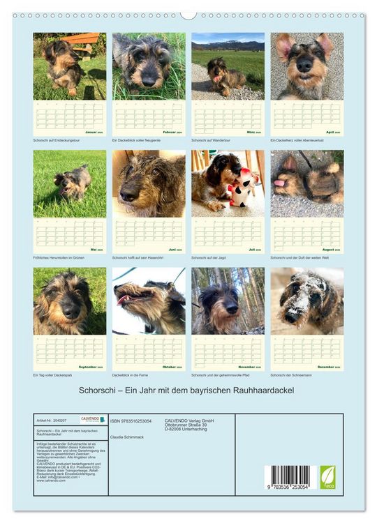 Produktbild: Schorschi &ndash; Ein Jahr mit dem bayrischen Rauhhaardackel (hochwertiger Premium Wandkalender 2026 DIN A2 hoch), Kunstdruck in Hochglanz