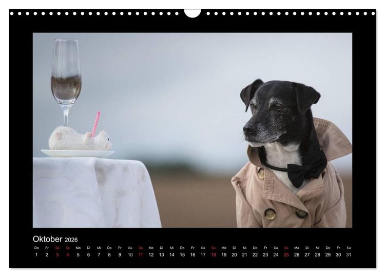 Produktbild: Jack Russell Terrier.....Ein Verwandlungsk&uuml;nstler namens Jake (Wandkalender 2026 DIN A3 quer), CALVENDO Monatskalender