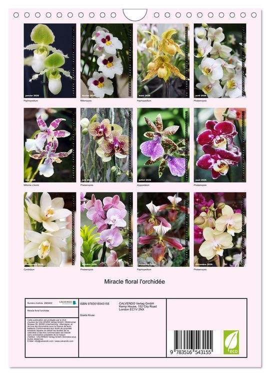 Produktbild: Miracle floral l'orchid&eacute;e (Calendrier mural 2026 DIN A4 horizontal), CALVENDO calendrier mensuel