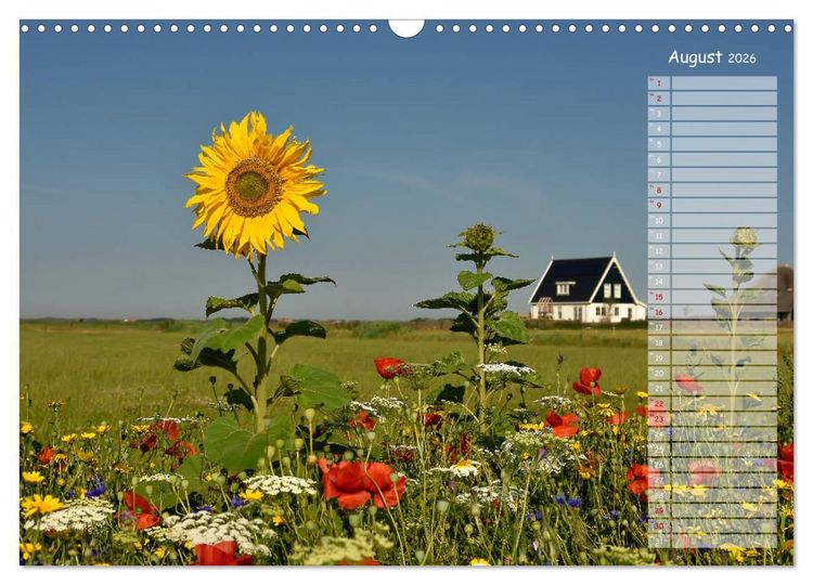 Produktbild: Ein Sommer auf Texel (Wandkalender 2026 DIN A3 quer), CALVENDO Monatskalender