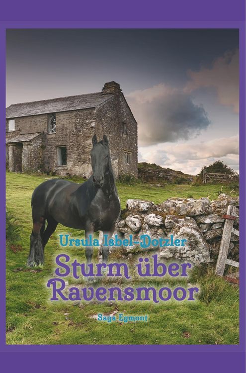 Produktbild: Sturm &uuml;ber Ravensmoor