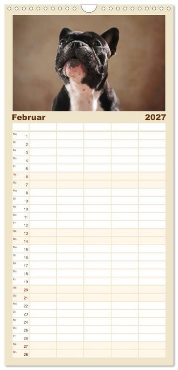 Produktbild: Familienplaner 2027 - Charme auf vier Pfoten - Franz&ouml;sische Bulldoggen Portraits mit 5 Spalten (Wandkalender, 21 x 45 cm) CALVENDO