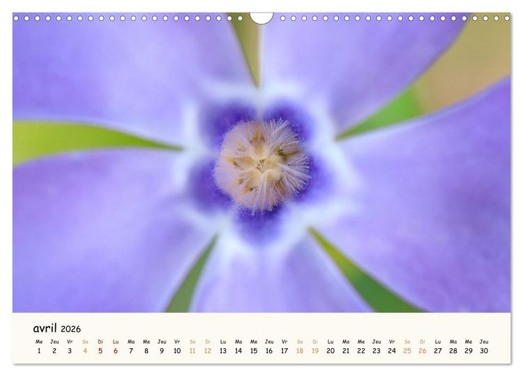Produktbild: Au c&oelig;ur des fleurs (Calendrier mural 2026 DIN A3 vertical), CALVENDO calendrier mensuel