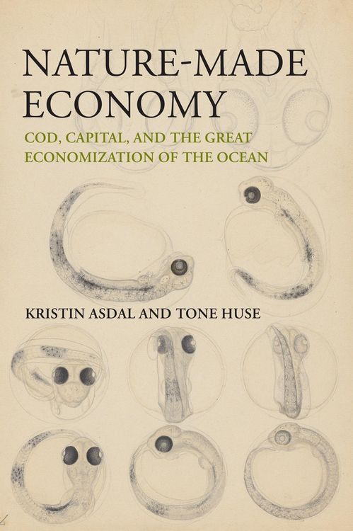 Produktbild: Asdal, K: Nature-Made Economy