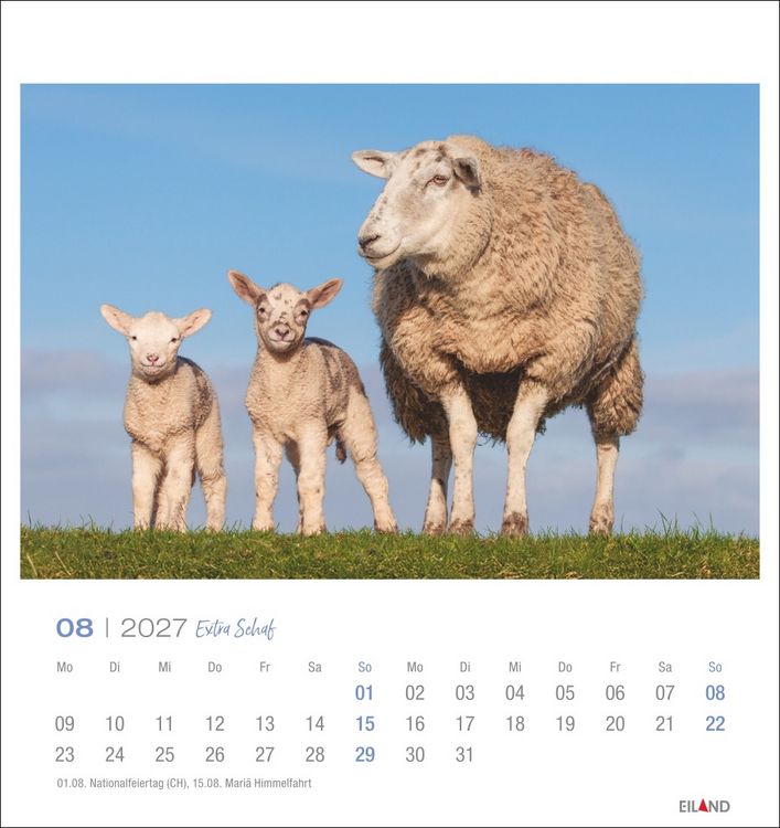 Produktbild: Extra Schaf Postkartenkalender 2027