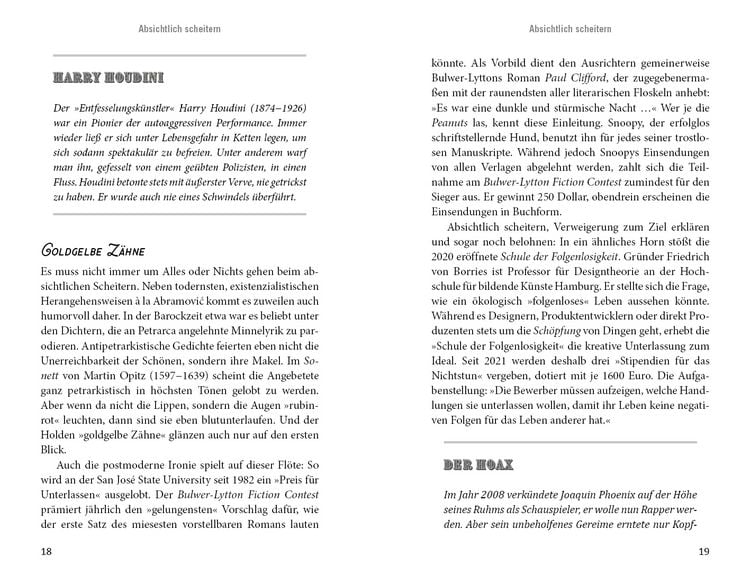 Produktbild: Eine kleine Geschichte des Scheiterns