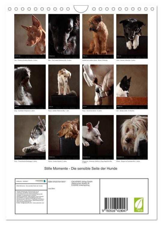 Produktbild: Stille Momente - Die sensible Seite der Hunde (Wandkalender 2026 DIN A4 hoch), CALVENDO Monatskalender