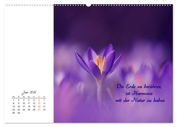Produktbild: Innehalten in der Natur ... mit Weisheiten und Sprichworten der Indianer (hochwertiger Premium Wandkalender 2026 DIN A2 quer), Kunstdruck in Hochglanz