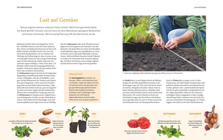 Produktbild: Reiche Ernte