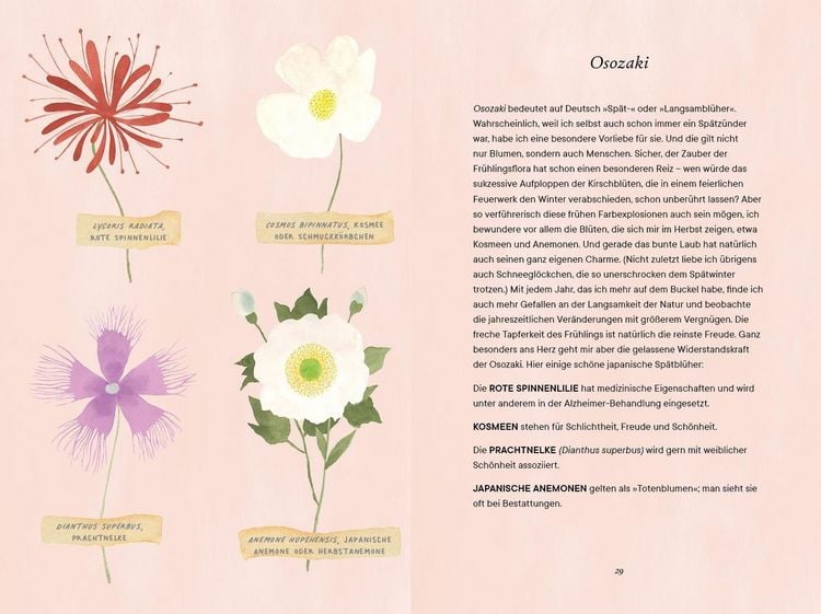Produktbild: Shibui