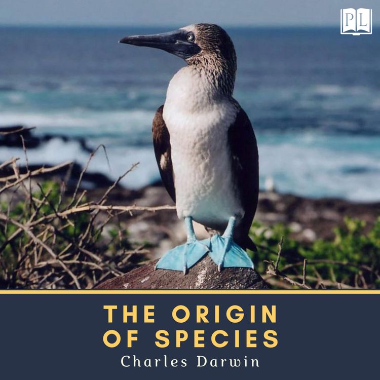 Produktbild: The Origin of Species