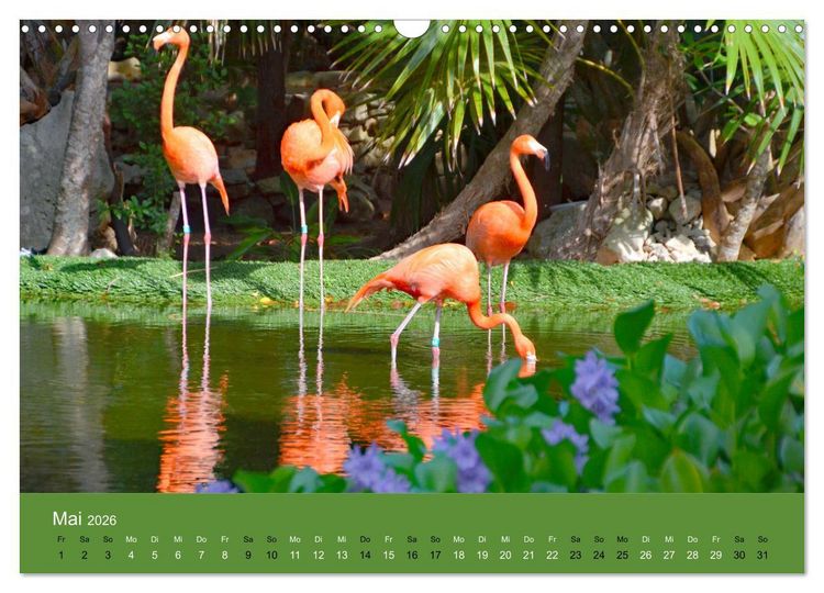 Produktbild: Mexiko - ein traumhaftes Paradies (Wandkalender 2026 DIN A3 quer), CALVENDO Monatskalender