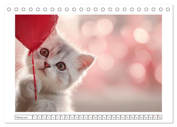 Produktbild: Miau macht gl&uuml;cklich (Tischkalender 2027 DIN A5 quer), CALVENDO Monatskalender