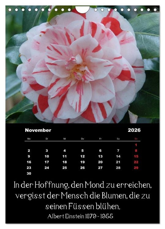 Produktbild: Spr&uuml;che und Zitate ber&uuml;hmter Personen &uuml;ber Blumen und Natur (Wandkalender 2026 DIN A4 hoch), CALVENDO Monatskalender