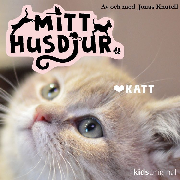 Produktbild: Mitt husdjur: Marsvin