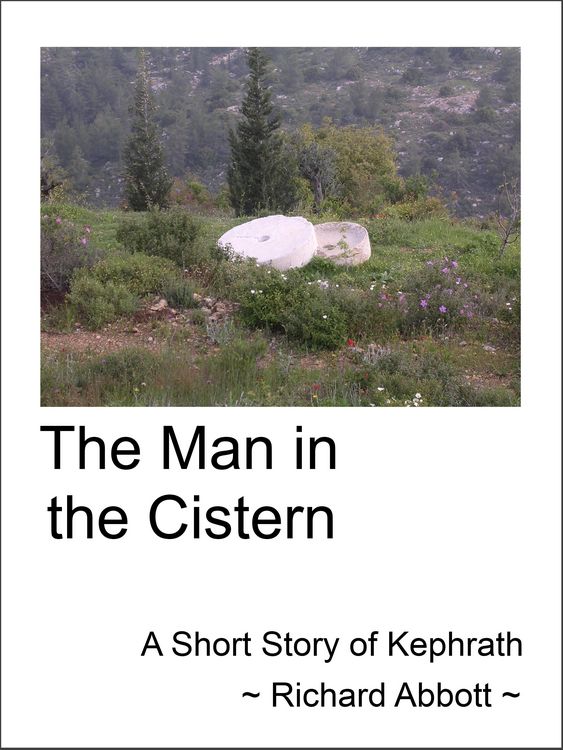 Produktbild: Man in the Cistern