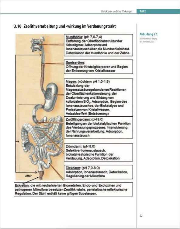 Produktbild: Biofaktoren f&uuml;r gesundes Altern