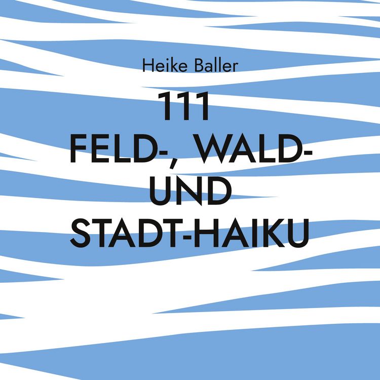 Produktbild: 111 Feld-, Wald- und Stadt-Haiku