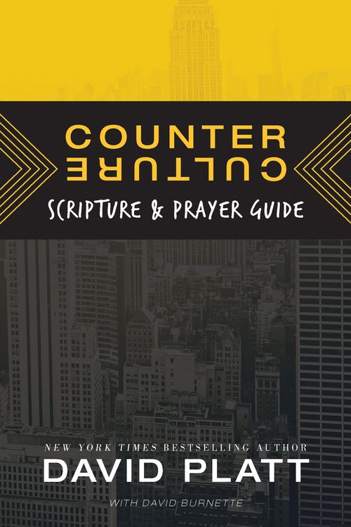 Produktbild: Counter Culture Scripture and Prayer Guide