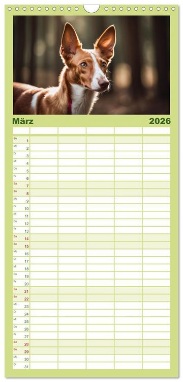 Produktbild: Familienplaner 2026 - Windhunde im Portrait mit 5 Spalten (Wandkalender, 21 x 45 cm) CALVENDO