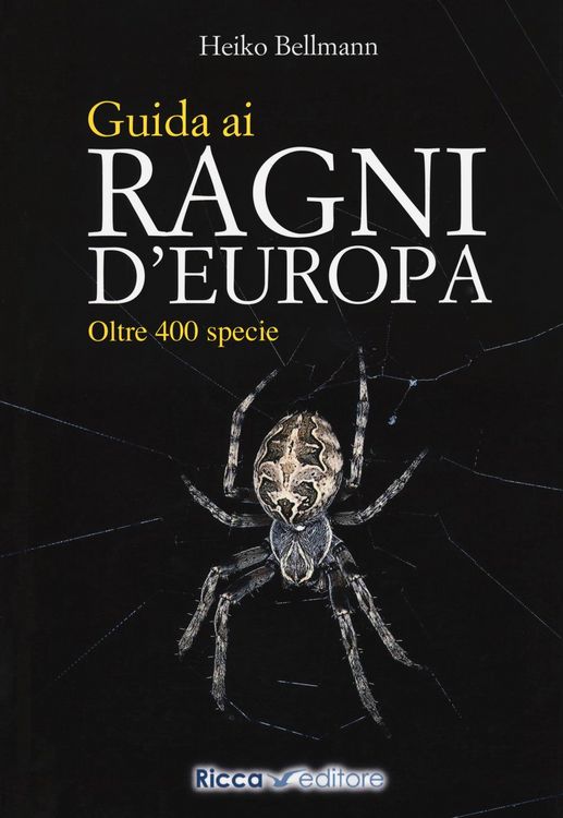 Produktbild: Guida ai ragni d'Europa. Oltre 400 specie
