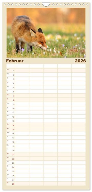 Produktbild: Familienplaner 2026 - Auf den Spuren der Stadtf&uuml;chse mit 5 Spalten (Wandkalender, 21 x 45 cm) CALVENDO