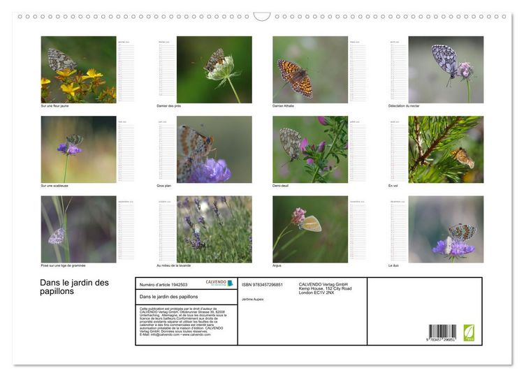Produktbild: Dans le jardin des papillons (Calendrier mural 2026 DIN A2 vertical), CALVENDO calendrier mensuel