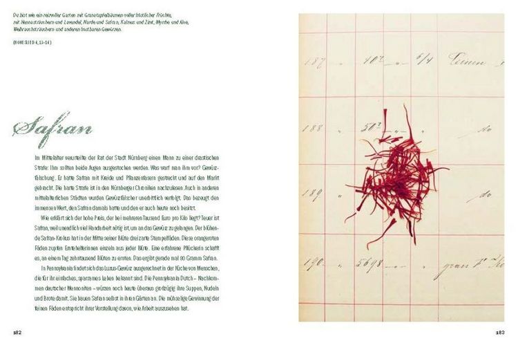 Produktbild: Der Garten der Bibel