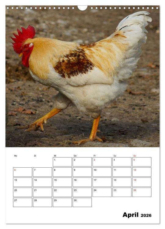 Produktbild: H&uuml;hner Terminplaner (Wandkalender 2026 DIN A3 hoch), CALVENDO Monatskalender