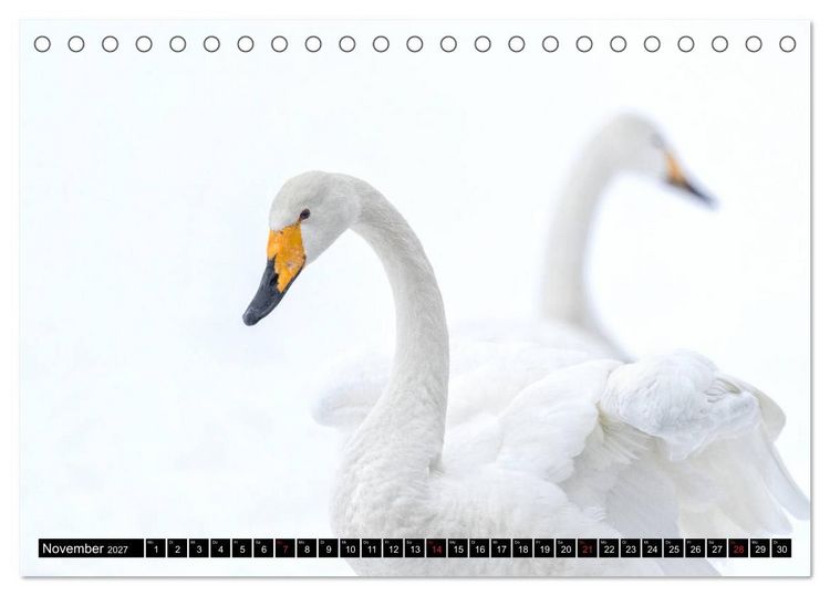 Produktbild: Japanische Vogelwelt im Winter (Tischkalender 2027 DIN A5 quer), CALVENDO Monatskalender