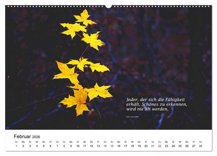 Produktbild: Lebensweisheiten 2026 (Wandkalender 2026 DIN A2 quer), CALVENDO Monatskalender