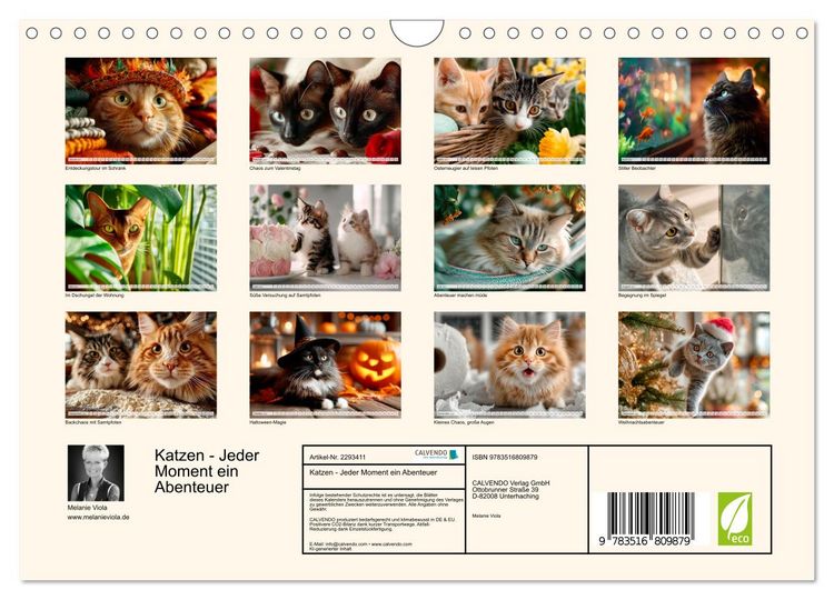 Produktbild: Katzen - Jeder Moment ein Abenteuer (Wandkalender 2027 DIN A4 quer), CALVENDO Monatskalender