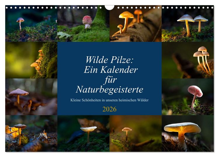 Produktbild: Wilde Pilze: Ein Kalender f&uuml;r Naturbegeisterte (Wandkalender 2026 DIN A3 quer), CALVENDO Monatskalender