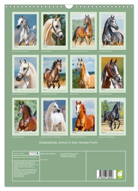 Produktbild: Araberpferde. Anmut in ihrer reinsten Form (Wandkalender 2027 DIN A3 hoch), CALVENDO Monatskalender