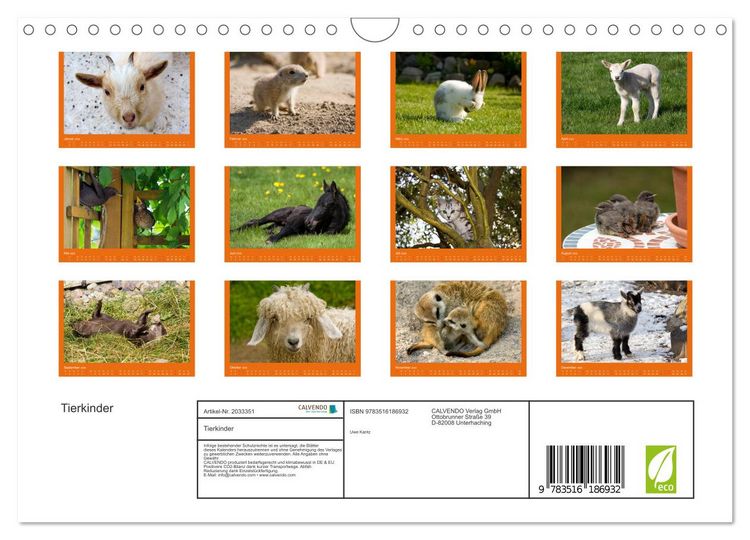 Produktbild: Tierkinder (Wandkalender 2026 DIN A4 quer), CALVENDO Monatskalender